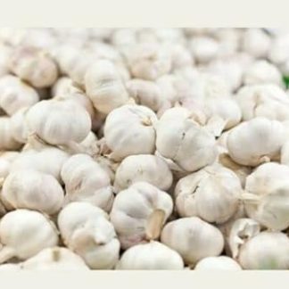 Набор из 70 зубчиков чеснока в форме гигантского слона Кристо.