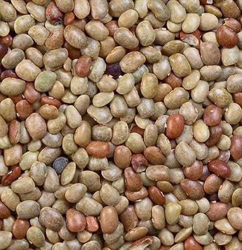 Earth Best KULTHI DAL/MACROTYLOMA UNIFLORUM/GRAM Horse (200 grams)
