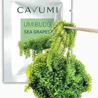 Морской виноград CAVUMI 20 г / морские гусеницы в качестве закуски из водорослей / сушеные морские водоросли / Умибудо в качестве хрустящей зеленой икры