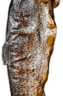 Копченая форель из горного приюта Буковина, приготовленная методом натурального копчения, из гор Подхале.