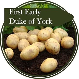 2 кг картофеля сорта Duke of York First Earlylies – традиционно его собирают рано для получения сладкого, насыщенного вкуса или оставляют созревать для более рассыпчатой ​​текстуры. Из него получается превосходный запеченный картофель.