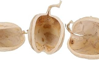 Набор Будданут - 20 штук, полиэстер, отбеленный.