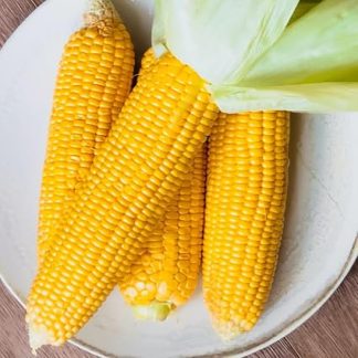 Кукуруза сорта Golden Bantam, 20 г - WegAna