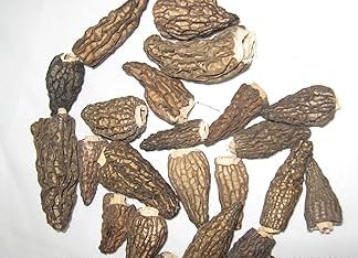 Сушеные дикие сморчки, сморчки высшего качества, дикая морхелла.