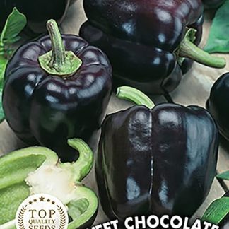 Сладкий шоколадный перец