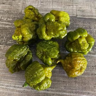 Чили Большая Горчица Мама (10 семян)