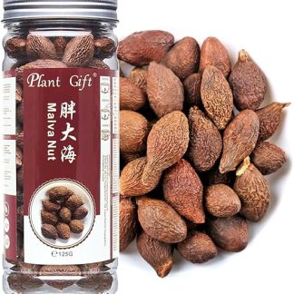 PlantGift Орех мальвы 125 г/4,4 унции 胖大海 Сушеная стеркулия лихнофора, сушеный пангдахай, китайский оздоровительный чай