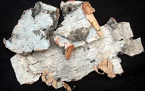 Naturix24 – цельная березовая кора – 1 кг