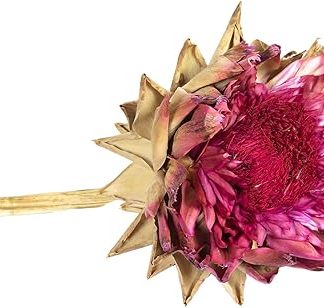 Артишок Ex Natur - с красными цветками - на стебле - с красными цветками