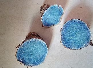 Radhna Indian Traditional Kali Haldi Real (Черная куркума/Цейлонская куркума) 50 г