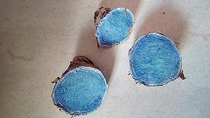 Radhna Indian Traditional Kali Haldi Real (Черная куркума/Цейлонская куркума) 50 г