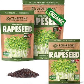 ZenGreens® - Органический рапс - Выберите упаковку: 10, 200 г или 500 г - рапс с всхожестью более 97% - ростки рапса